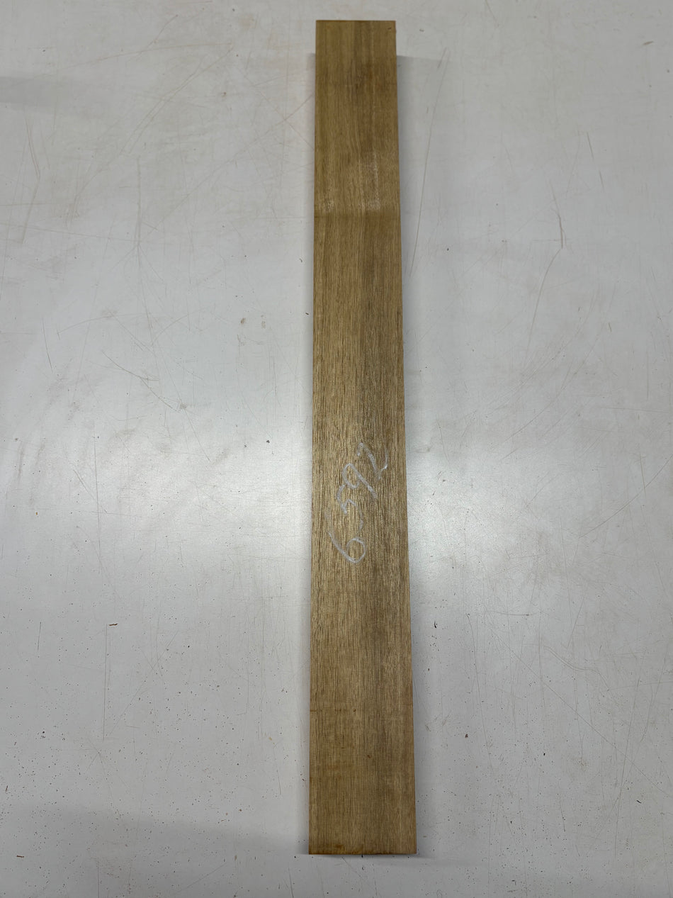1 Piece, White Limba Guitar Neck Blank 32"x3-1/2"x1-7/8" #6592