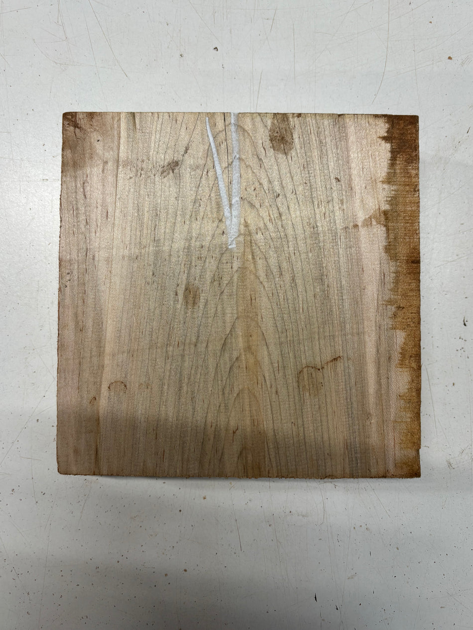 1 Piece, Ambrosia Maple Bowl Blank  8"x8"x2"#6638