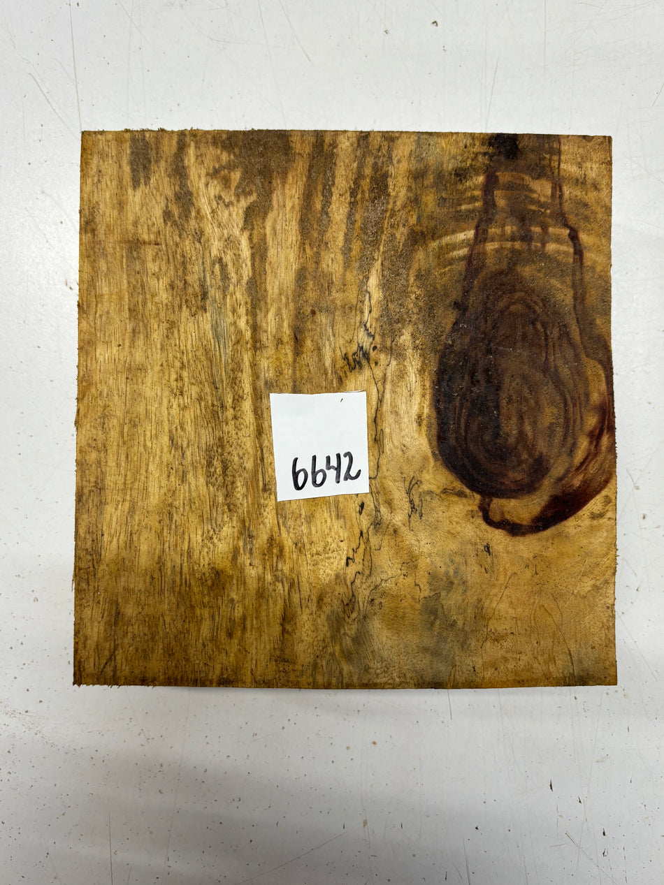 1 Piece, Spalted Tamarind Bowl Blank  8"x8"x3"#6642