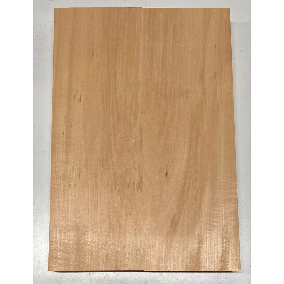 Basswood Guitar Body Blanks, 21″ x 14″ x 1-3/4″ ,7 Lbs #210 - Exotic Wood Zone - Buy online Across USA 