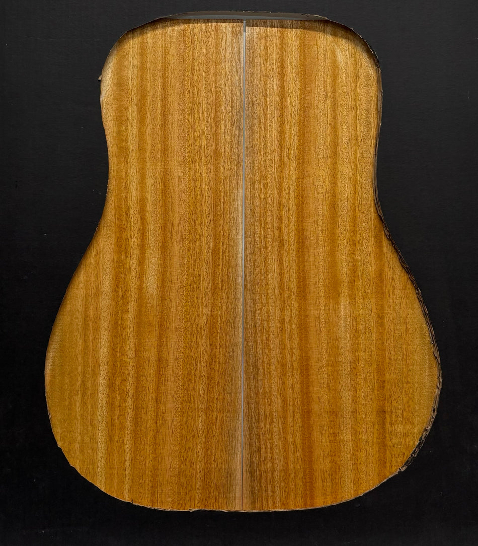 Golden Mango Dreadnought Guitar Back and Side Set #502