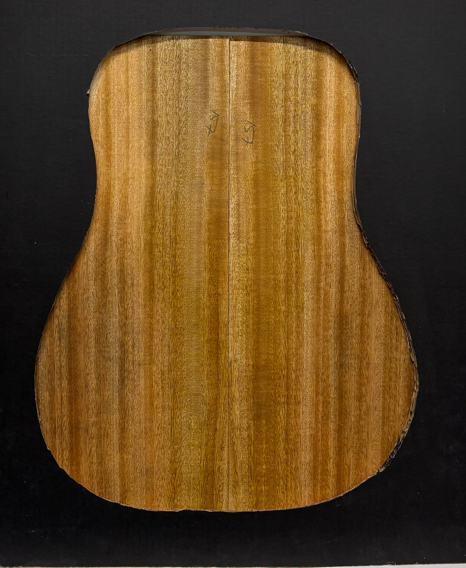 Golden Mango Dreadnought Guitar Back and Side Set #503