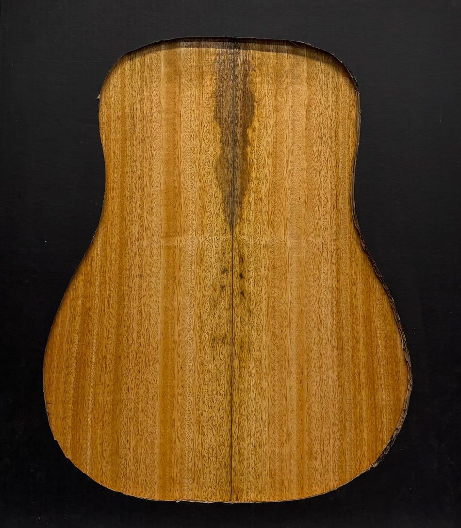 Golden Mango Dreadnought Guitar Back and Side Set #508