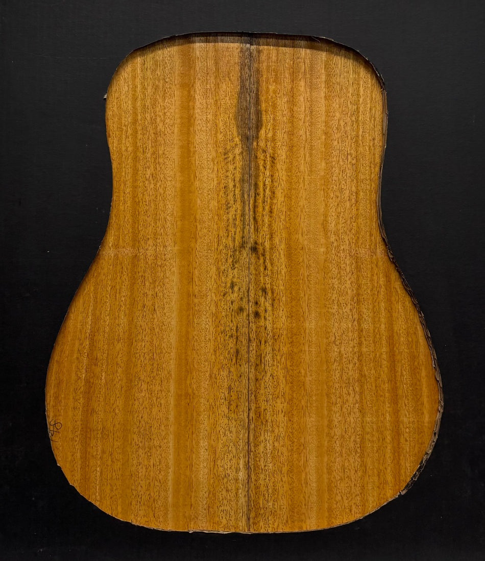 Golden Mango Dreadnought Guitar Back and Side Set #509