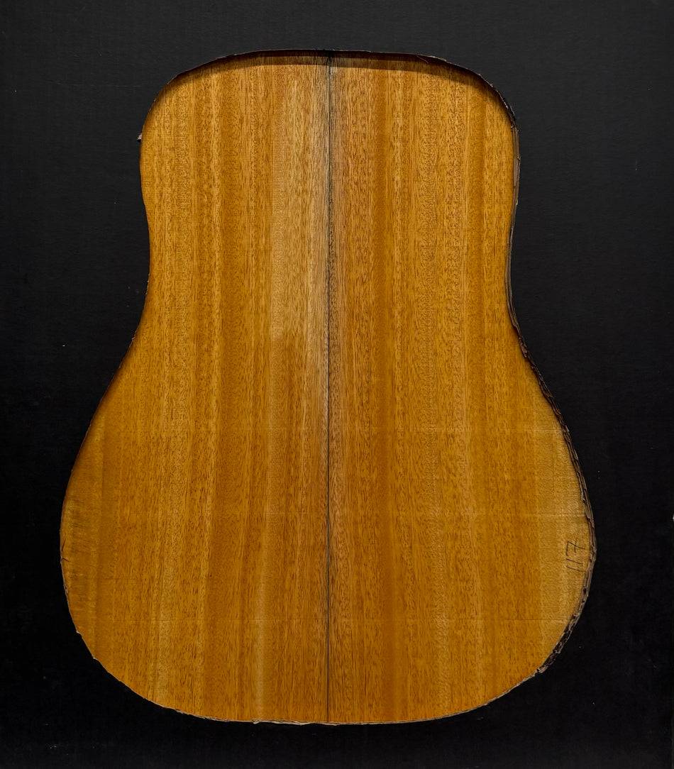 Golden Mango Dreadnought Guitar Back and Side Set #512