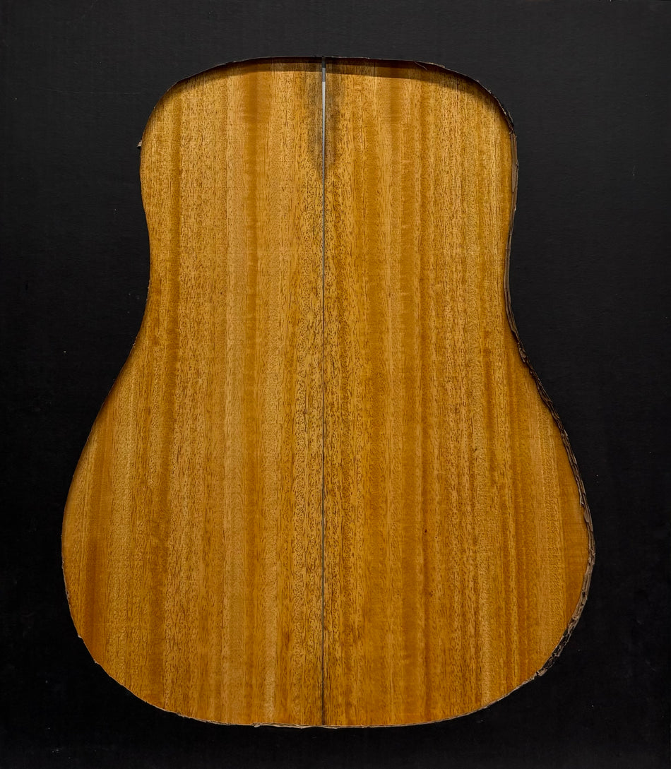 Golden Mango Dreadnought Guitar Back and Side Set #516