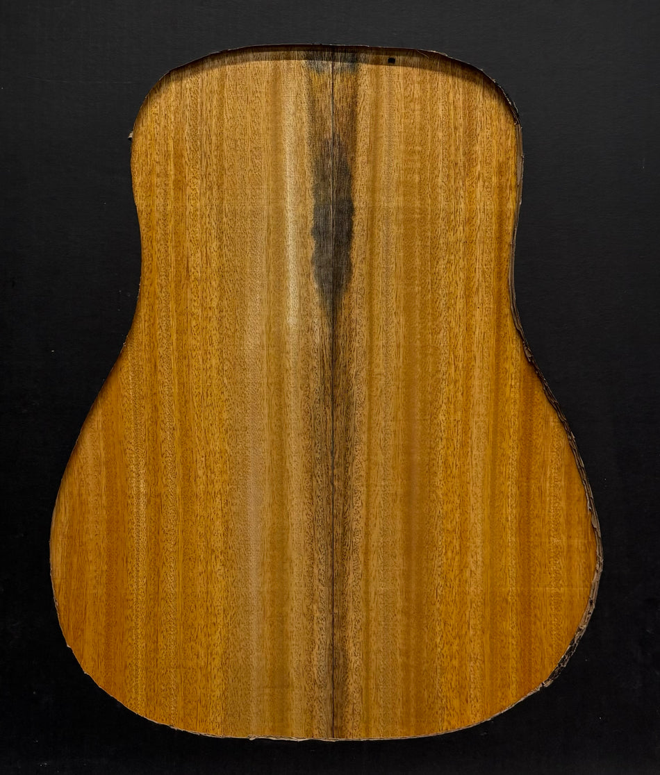 Golden Mango Dreadnought Guitar Back and Side Set #517