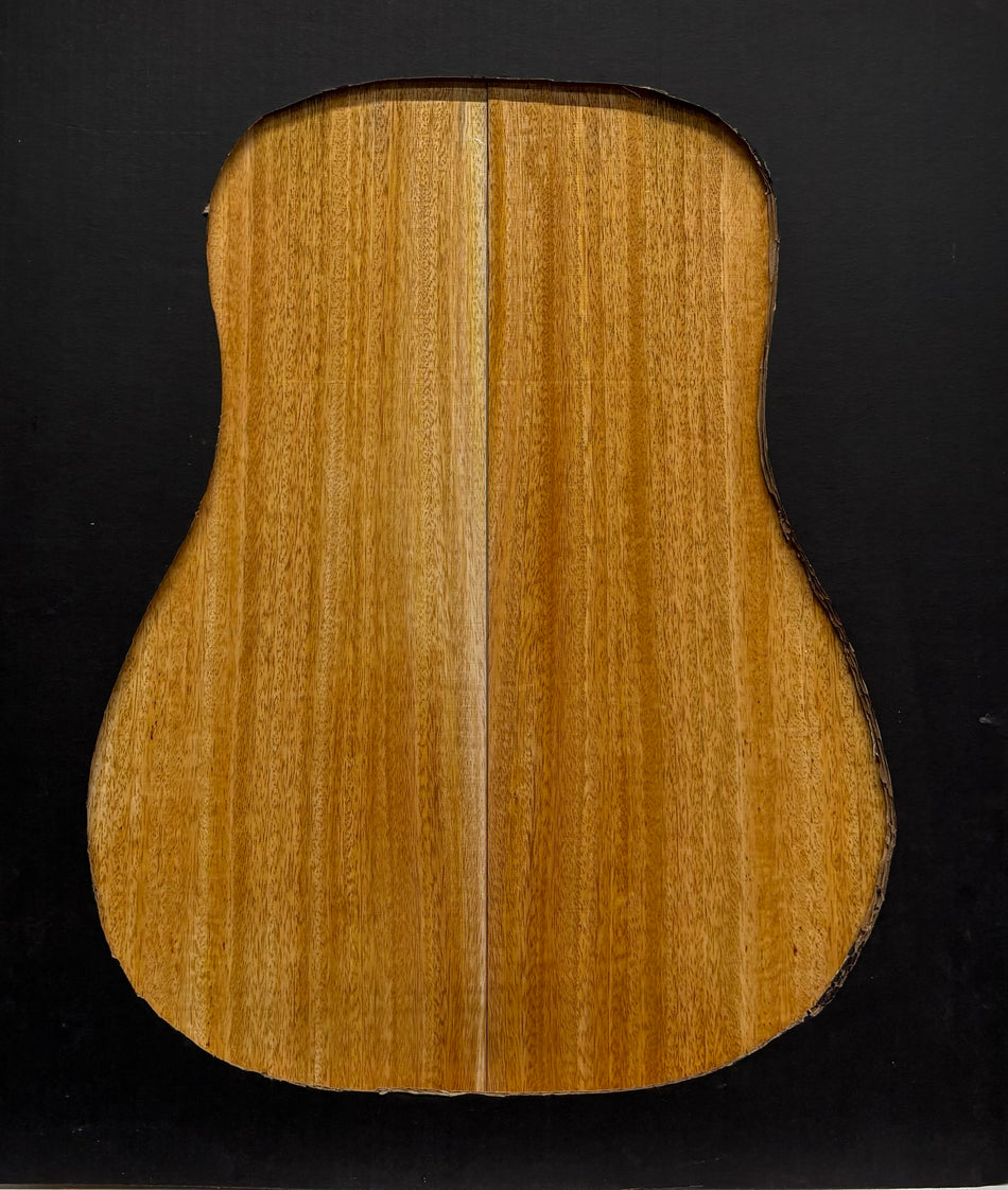 Golden Mango Dreadnought Guitar Back and Side Set #523