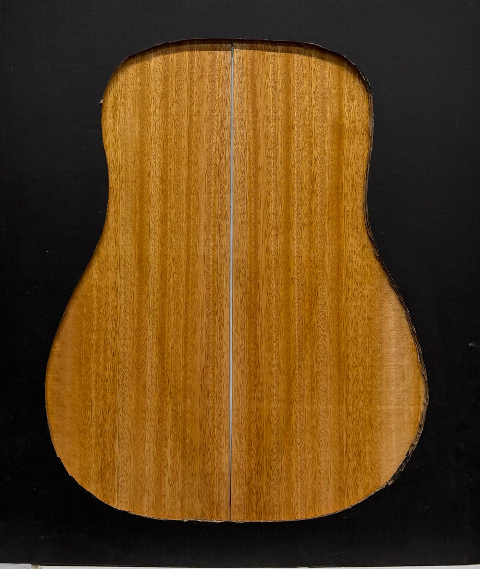 Golden Mango Dreadnought Guitar Back and Side Set #524