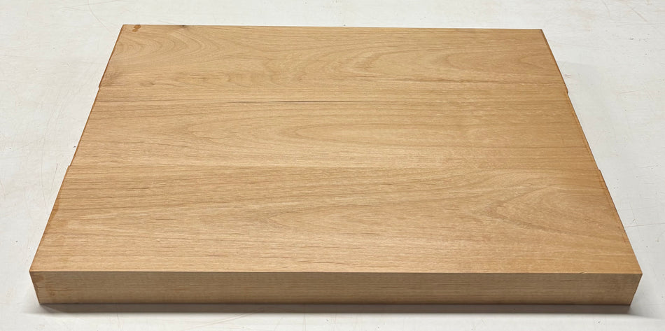 Alder Guitar Body Blank - 21" x 14-3/4" x 1-3/4", 10 Lbs (3 Pcs Glued) #11