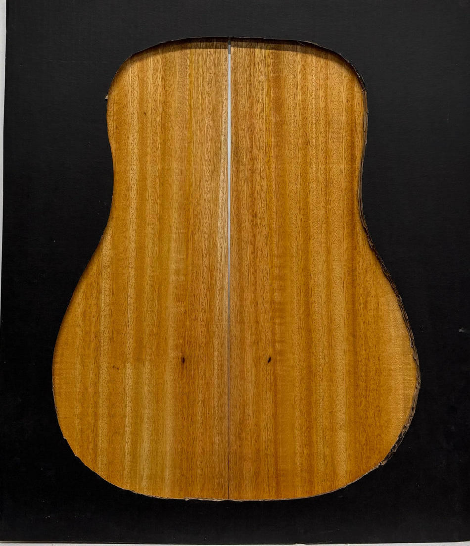 Golden Mango Dreadnought Guitar Back and Side Set #527