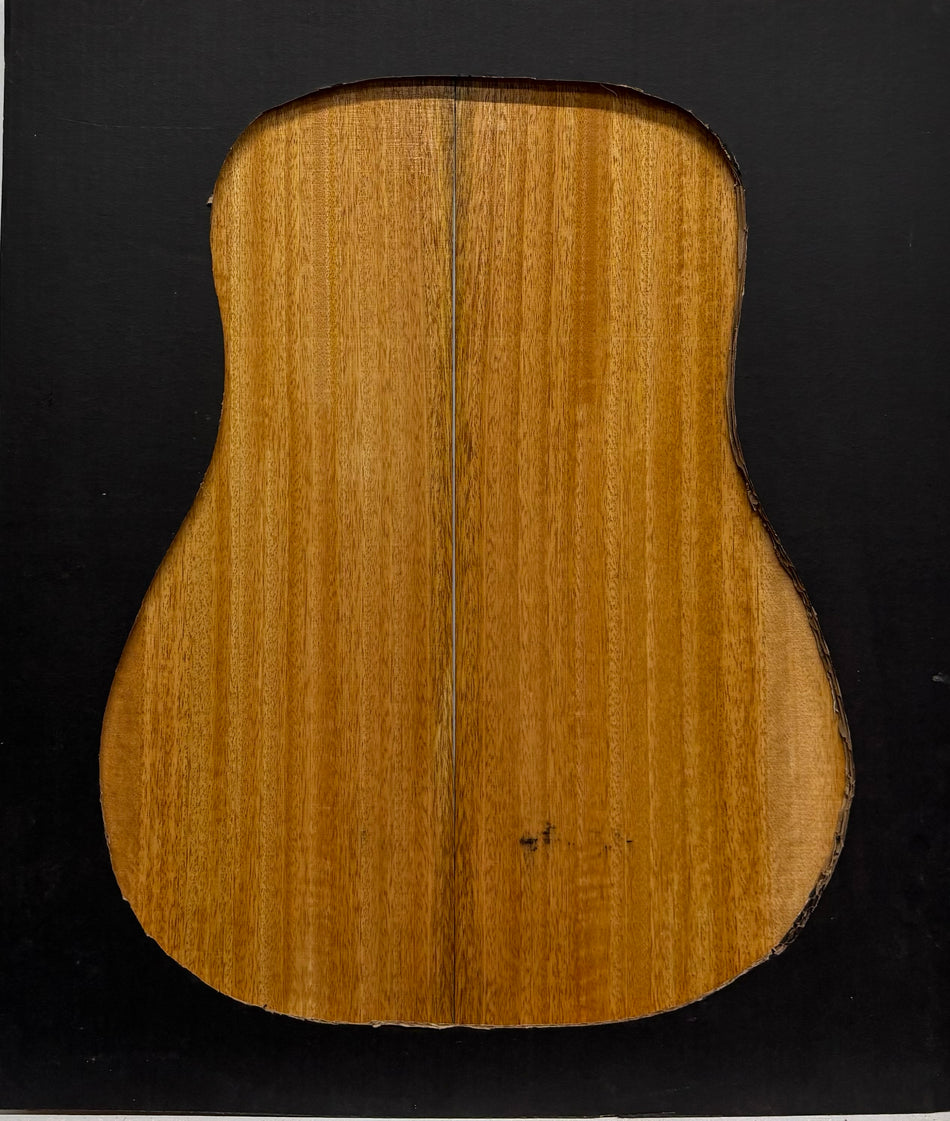 Golden Mango Dreadnought Guitar Back and Side Set #528