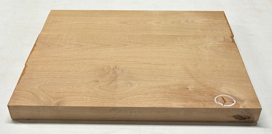 Alder Guitar Body Blank - 21" x 15" x 1-3/4", 11 Lbs (3 Pcs Glued) #13