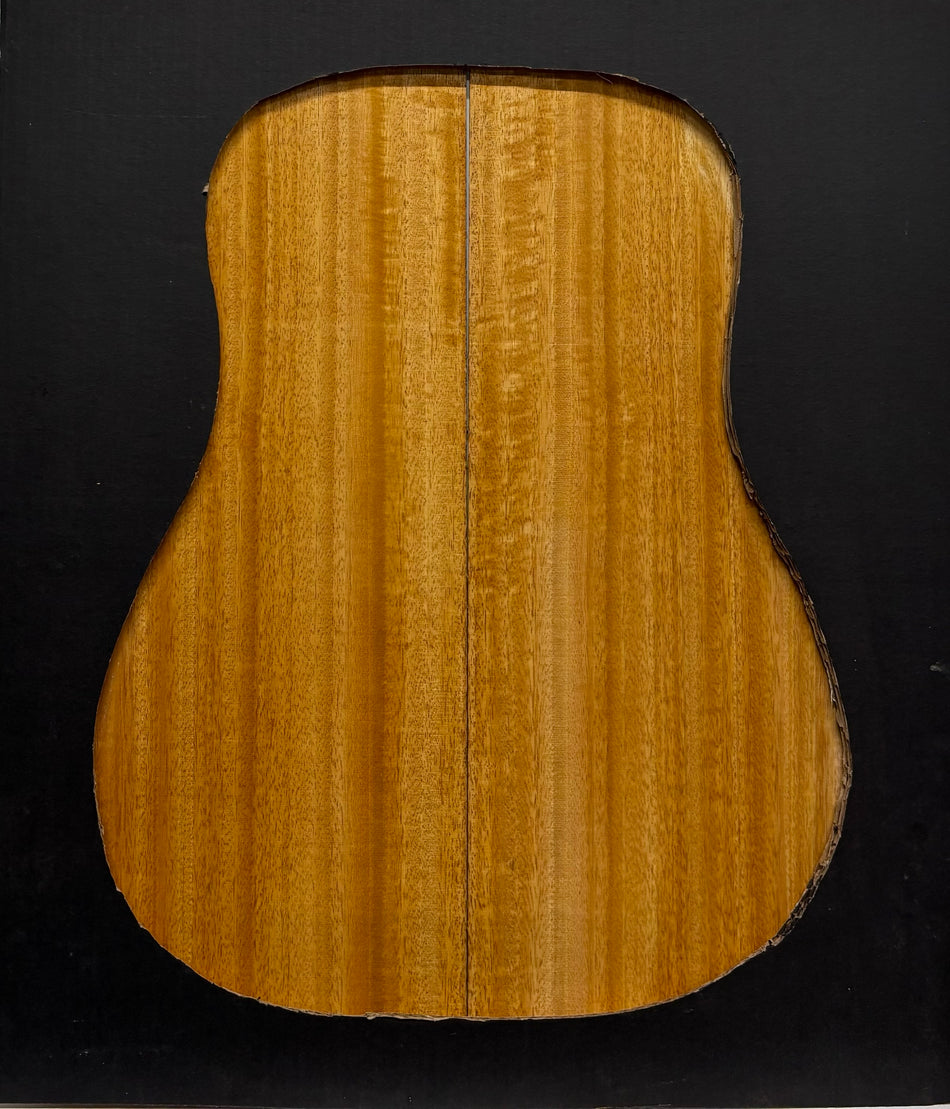 Golden Mango Dreadnought Guitar Back and Side Set #533