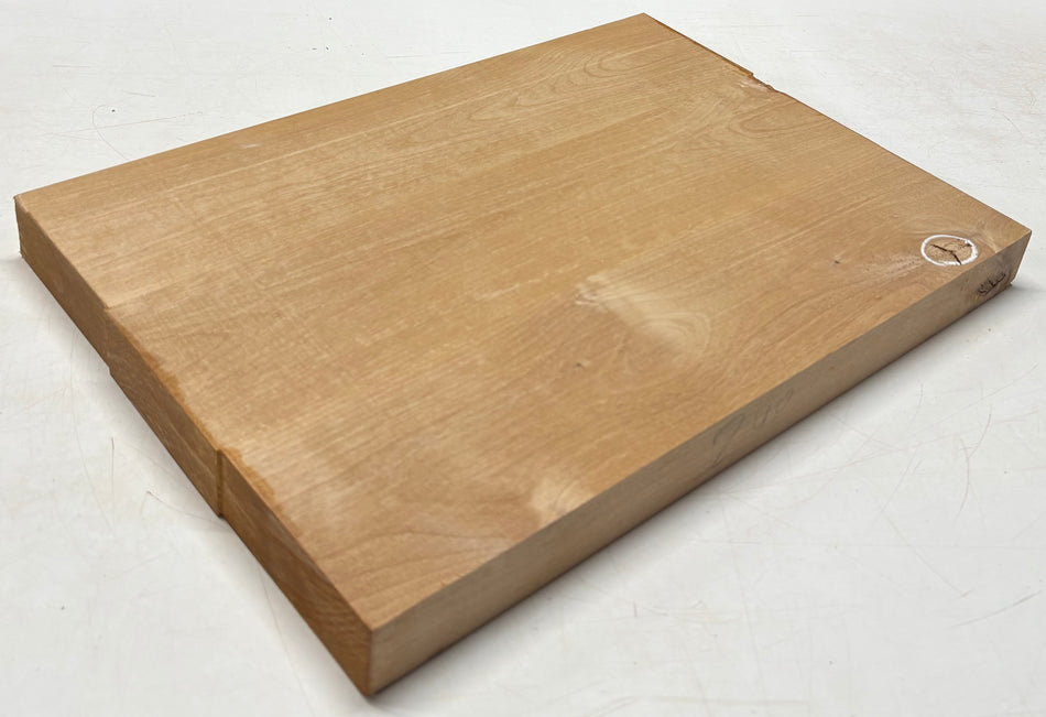 Alder Guitar Body Blank - 21" x 15" x 1-3/4", 11 Lbs (3 Pcs Glued) #13