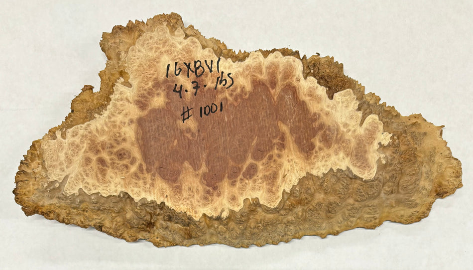 Red Mallee Burl Cookies - 16" x 8"x 1" #1001