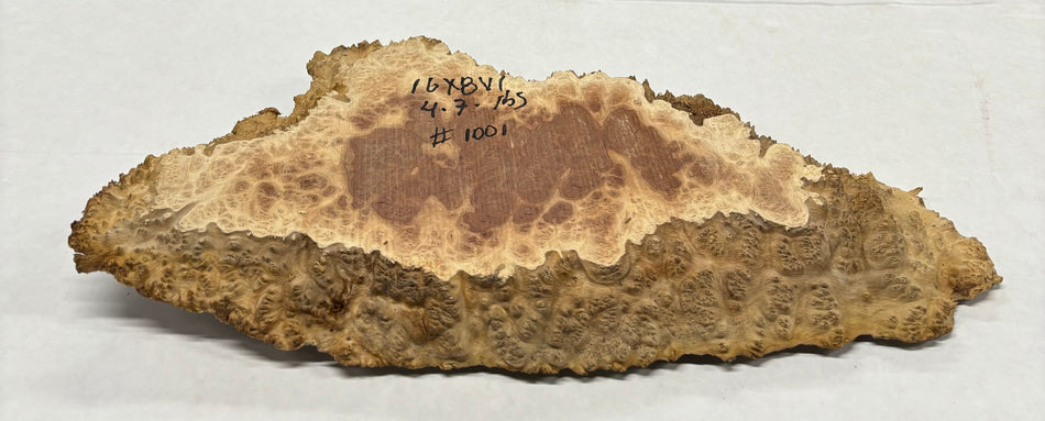 Red Mallee Burl Cookies - 16" x 8"x 1" #1001