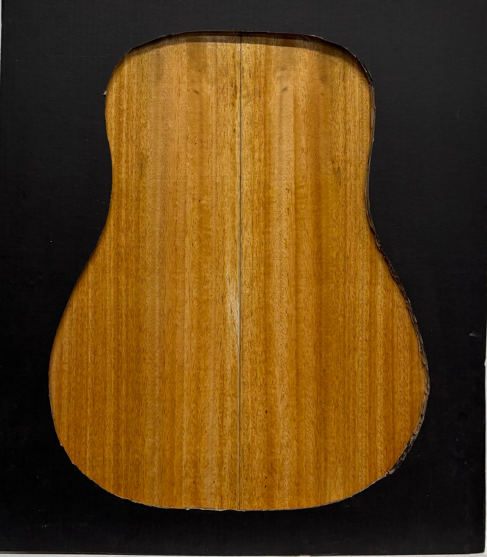 Golden Mango Dreadnought Guitar Back and Side Set #537