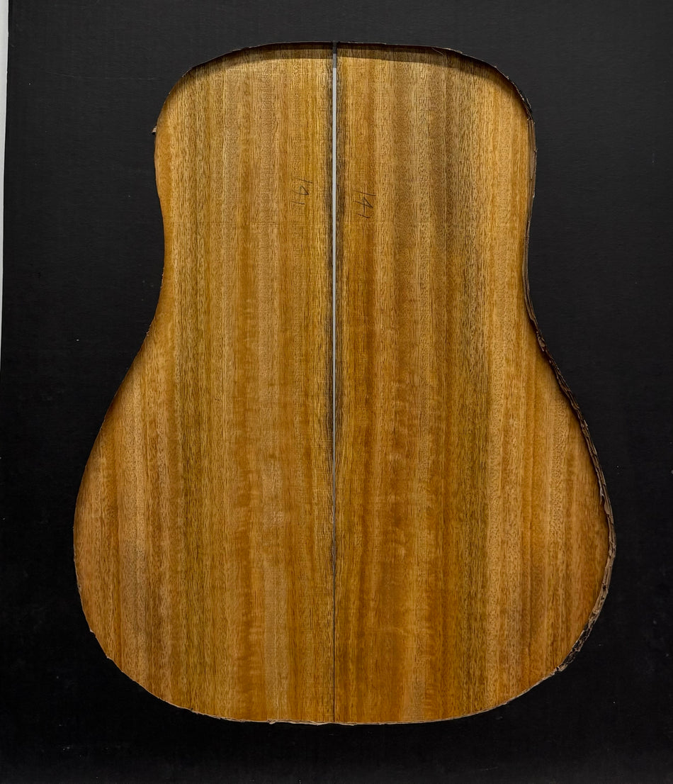 Golden Mango Dreadnought Guitar Back and Side Set #538