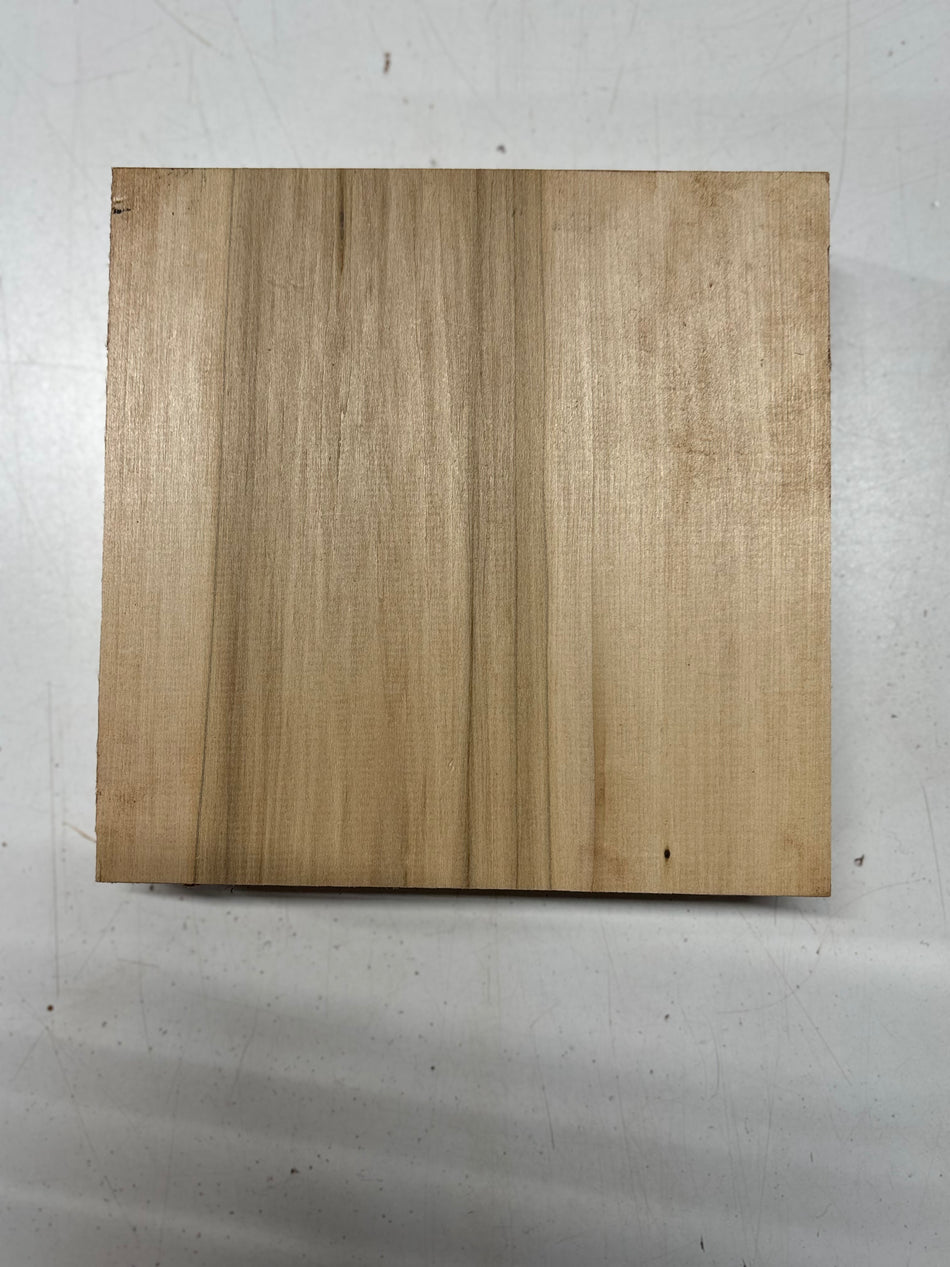 1 Piece, Basswood Bowl Blank 8"x8"x2" #8420 - Exotic Wood Zone