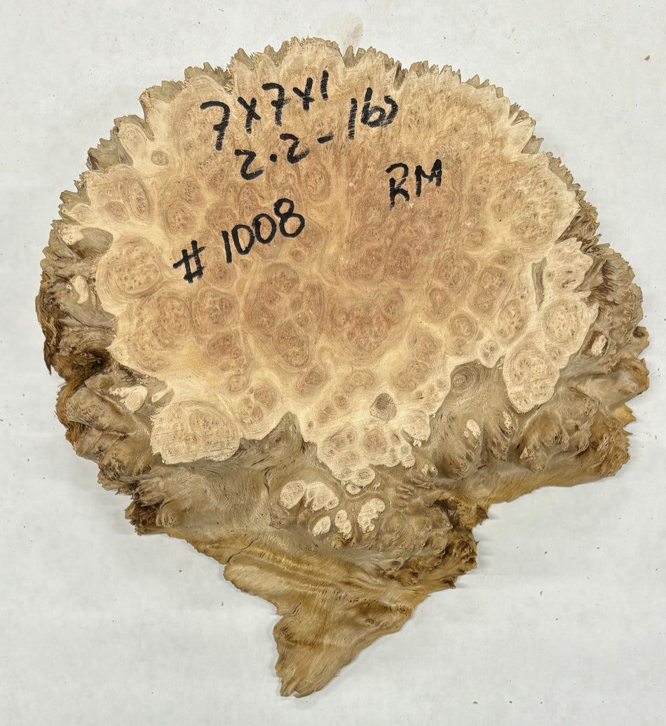 Red Mallee Burl Cookies - 7" x 7" x 1" #1008