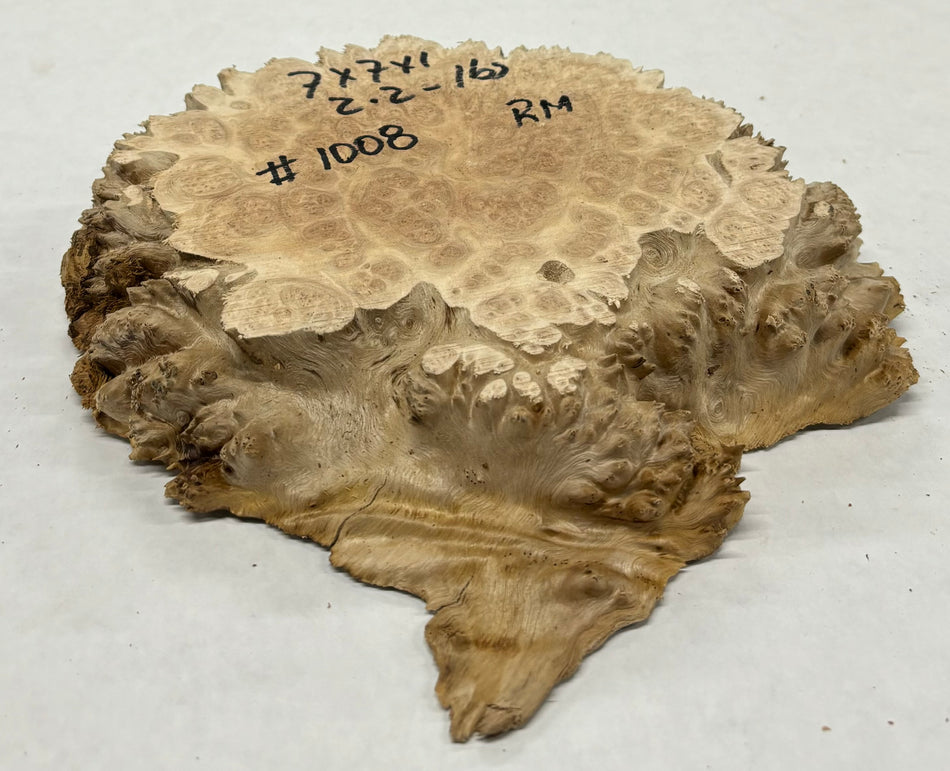 Red Mallee Burl Cookies - 7" x 7" x 1" #1008