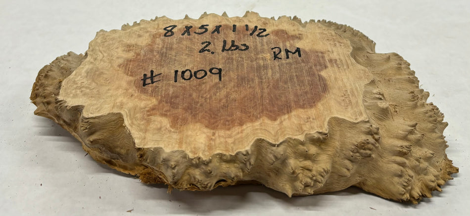 Red Mallee Burl Cookies - 8" x 5" x 1-1/2" #1009