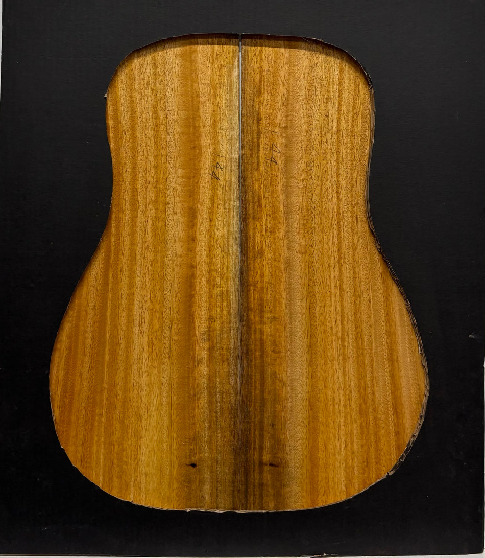 Golden Mango Dreadnought Guitar Back and Side Set #540