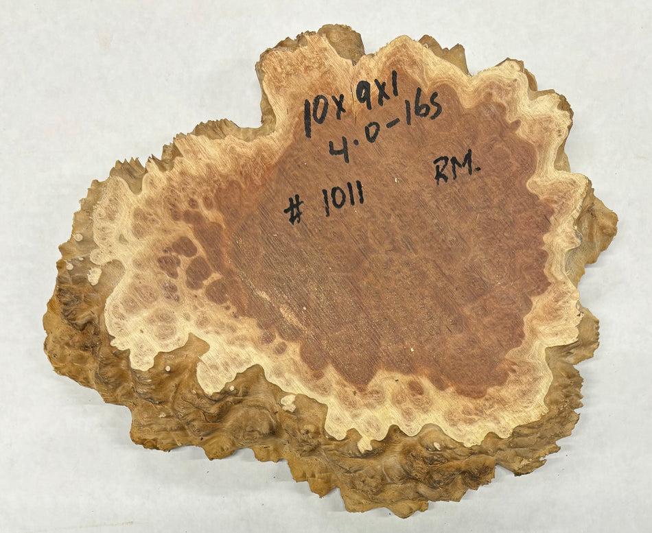 Red Mallee Burl Cookies - 10" x 9" x 1" #1011