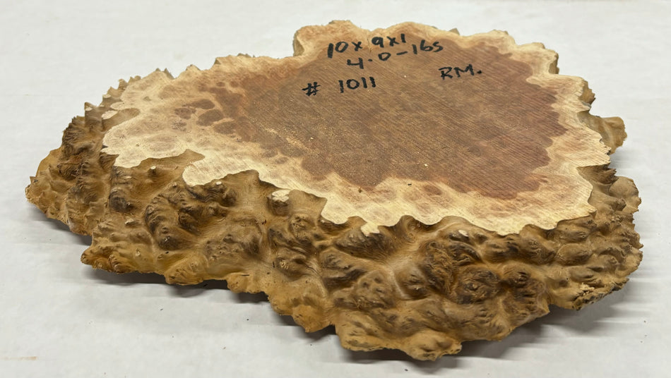 Red Mallee Burl Cookies - 10" x 9" x 1" #1011