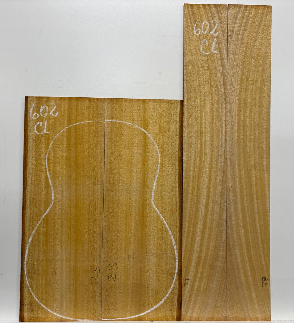 Golden Mango Classical Guitar Back and Side Set #602