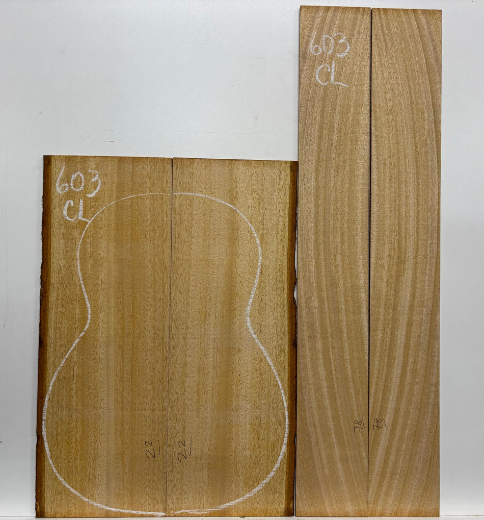 Golden Mango Classical Guitar Back and Side Set #603