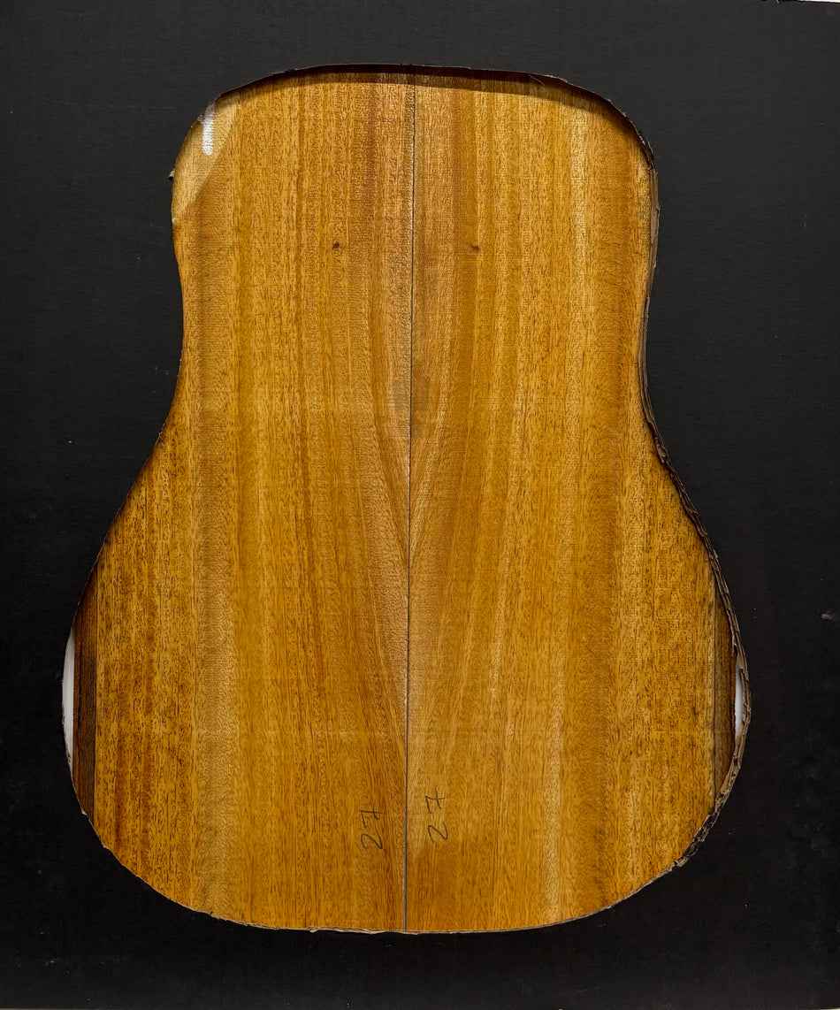 Golden Mango Classical Guitar Back and Side Set #604