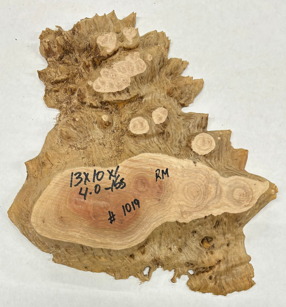 Red Mallee Burl Cookies - 13" x 10" x 1" #1019