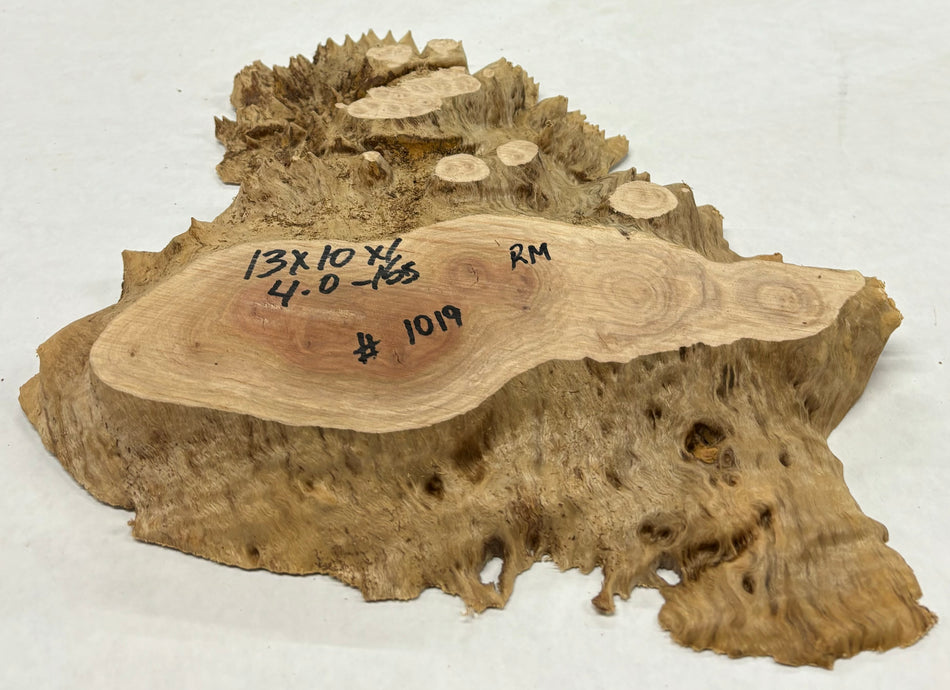 Red Mallee Burl Cookies - 13" x 10" x 1" #1019