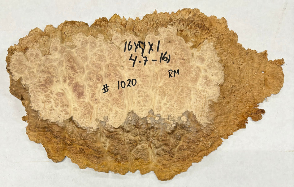 Red Mallee Burl Cookies - 16" x 9" x 1" #1020