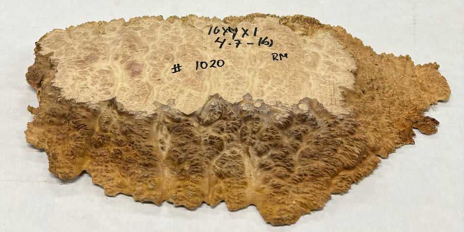 Red Mallee Burl Cookies - 16" x 9" x 1" #1020