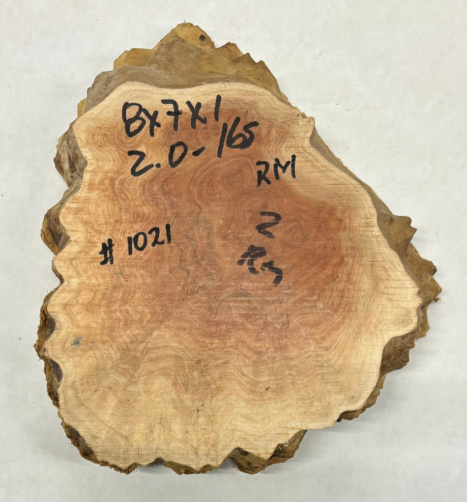 Red Mallee Burl Cookies - 8" x 7" x 1" #1021