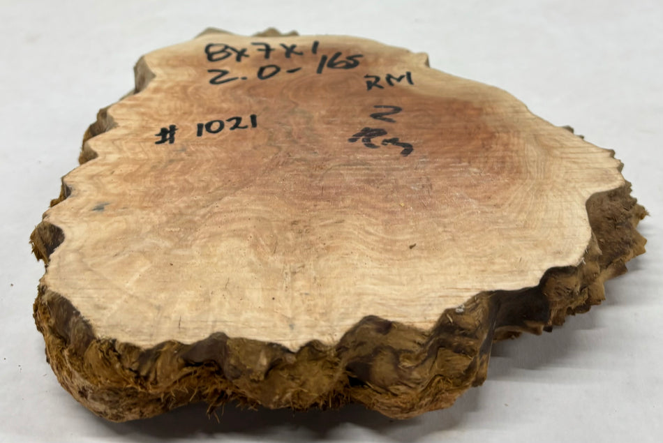 Red Mallee Burl Cookies - 8" x 7" x 1" #1021