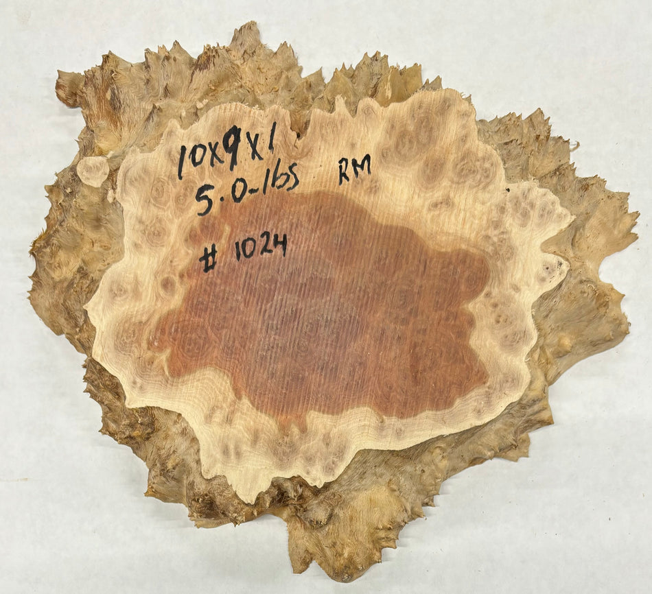 Red Mallee Burl Cookies - 10" x 9" x 1" #1024