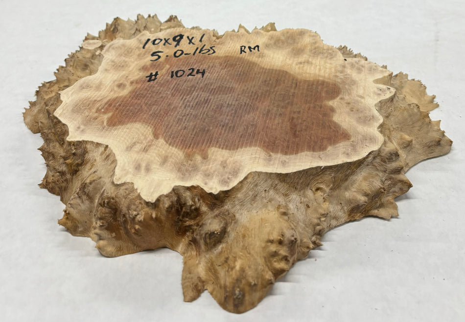 Red Mallee Burl Cookies - 10" x 9" x 1" #1024