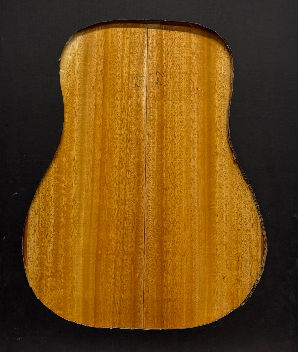 Golden Mango Classical Guitar Back and Side Set #610