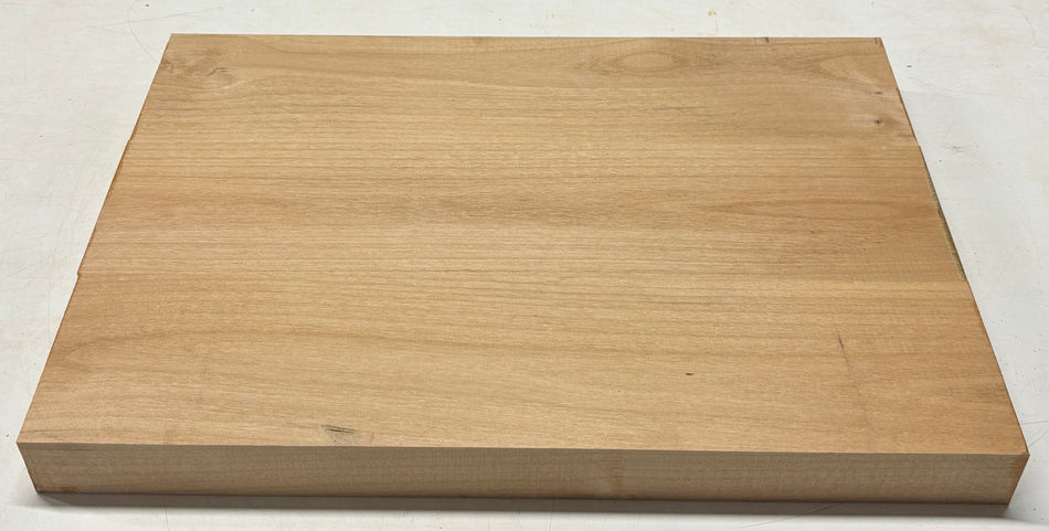 Espacios en blanco para cuerpo de guitarra de aliso - 21" x 14" x 1,95" 