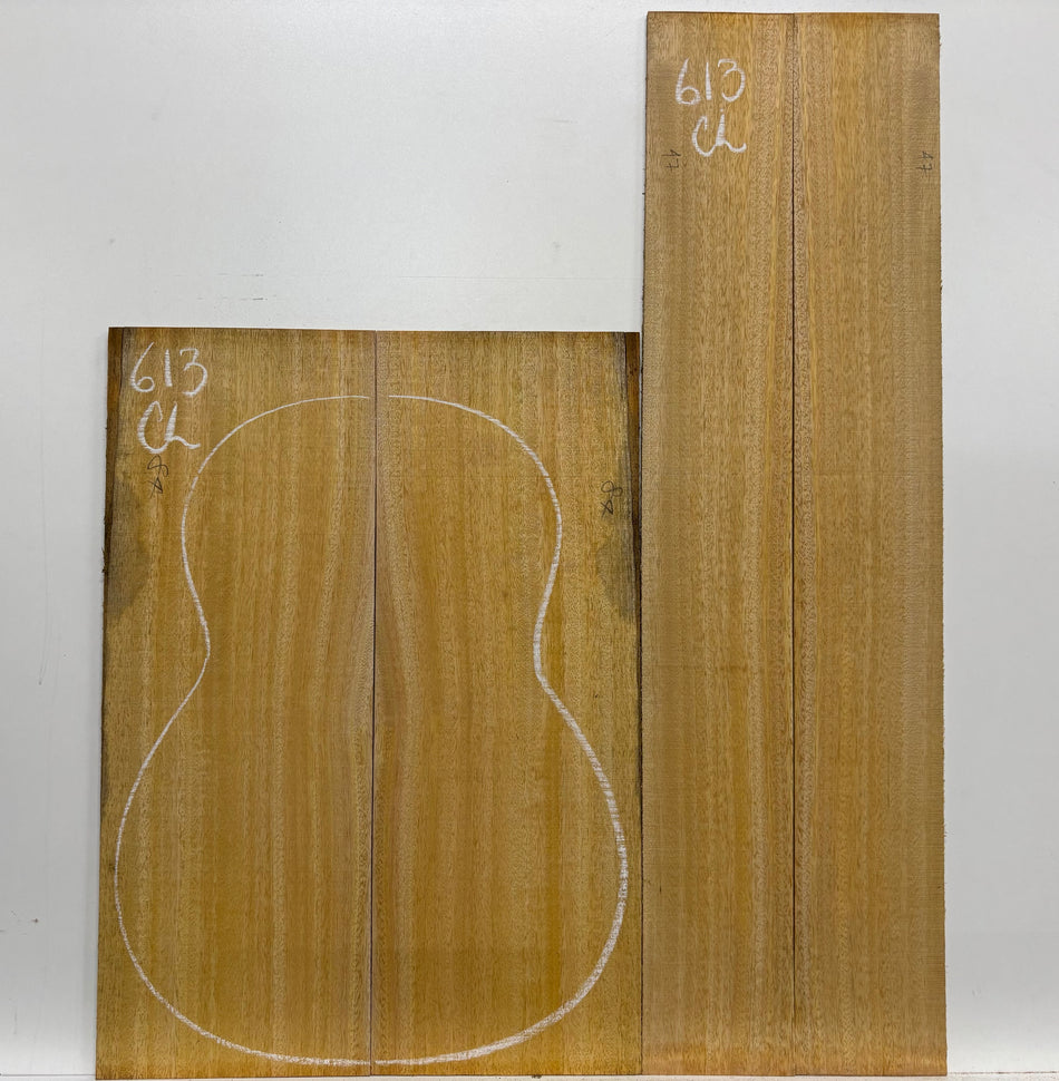 Golden Mango Classical Guitar Back and Side Set #613