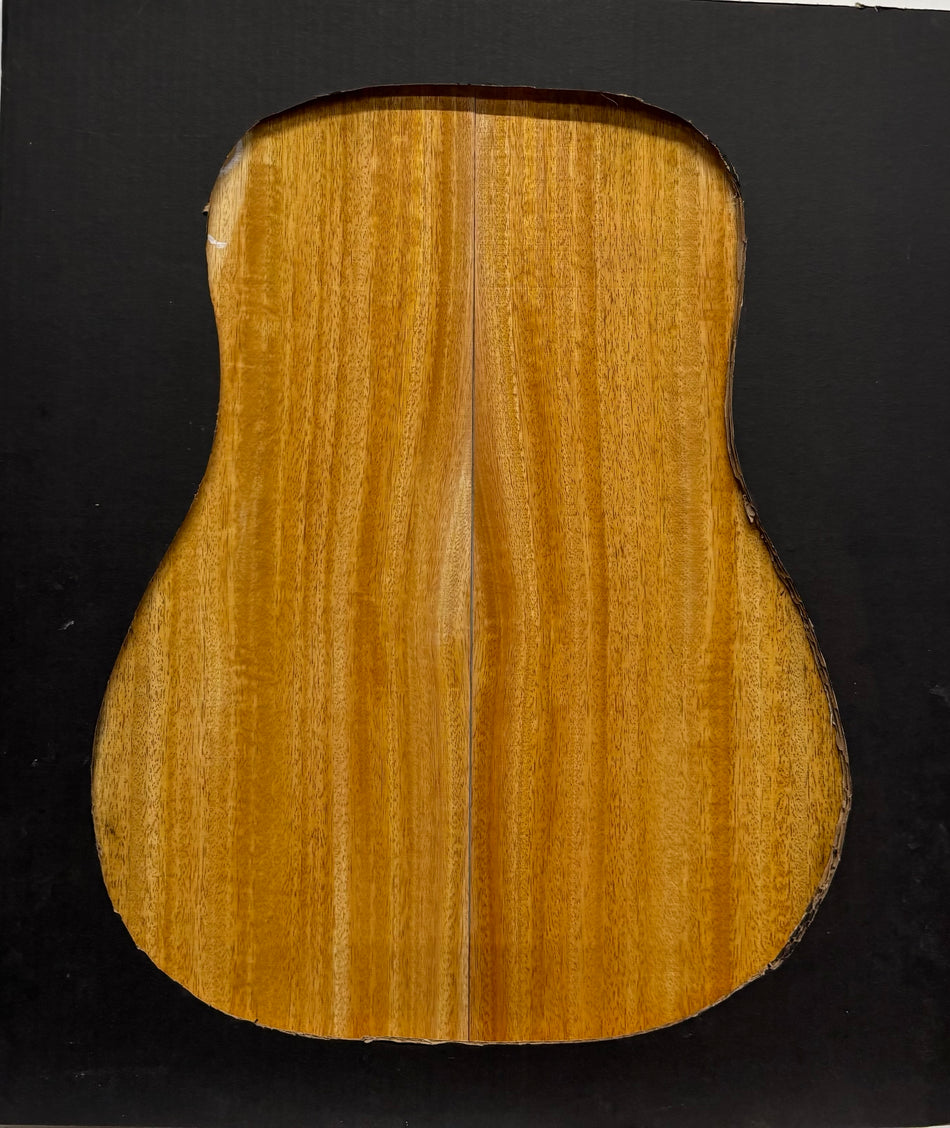 Golden Mango Classical Guitar Back and Side Set #613