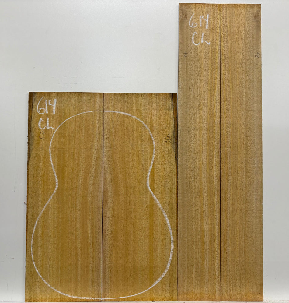 Golden Mango Classical Guitar Back and Side Set #614