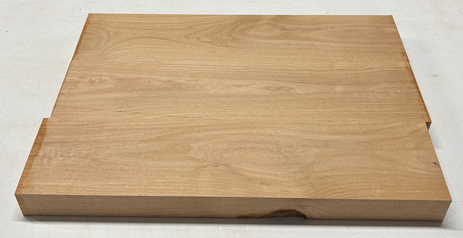 Espacios en blanco para cuerpo de guitarra de aliso - 21" x 14" x 1,95" 