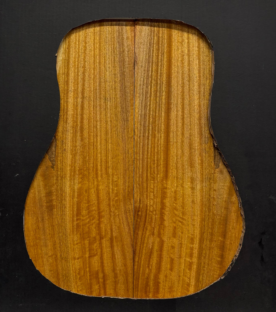 Golden Mango Classical Guitar Back and Side Set #620