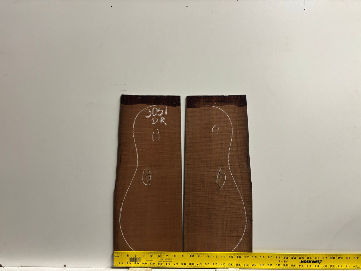 Amazon Rosewood Dreadnought Guitar Back and Side Seconds Set #3051 Exotic Wood Zone 