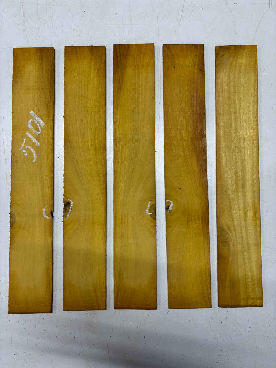 5 Pack, Osage Orange Thin Stock Lumber 18"x3"x1/8"#5101